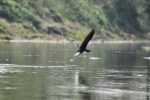 20160307-Nepal-Chitwan-291.jpg