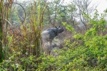 20160307-Nepal-Chitwan-343.jpg