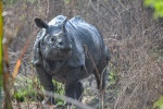 20160307-Nepal-Chitwan-349.jpg