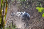 20160307-Nepal-Chitwan-354.jpg