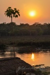 20160307-Nepal-Chitwan-395.jpg