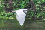 20160306-Nepal-Chitwan-102.jpg