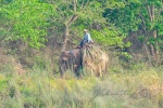20160306-Nepal-Chitwan-181.jpg