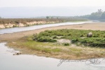 20160306-Nepal-Chitwan-185.jpg