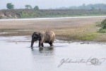 20160306-Nepal-Chitwan-190.jpg