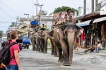 20160306-Nepal-Chitwan-195.jpg