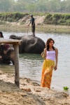 20160306-Nepal-Chitwan-75.jpg