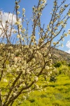 20160327-Zypern-Trimiklini-18.jpg