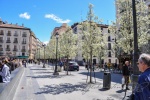 20160405-Madrid-42.jpg