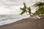 20160411-Costa-Rica-Tortuguero-10.jpg