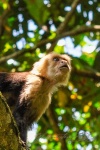 20160412-Costa-Rica-Tortuguero-105.jpg
