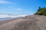 20160412-Costa-Rica-Tortuguero-22.jpg