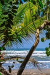 20160412-Costa-Rica-Tortuguero-94.jpg