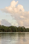20160413-Costa-Rica-Tortuguero-147.jpg