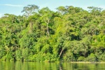 20160413-Costa-Rica-Tortuguero-152.jpg