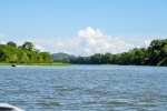 20160413-Costa-Rica-Tortuguero-269.jpg