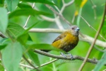 20160416-Costa-Rica-La-Fortuna-08.jpg