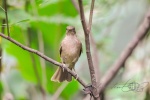 20160416-Costa-Rica-La-Fortuna-127.jpg