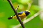 20160416-Costa-Rica-La-Fortuna-141.jpg