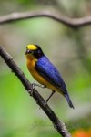 20160416-Costa-Rica-La-Fortuna-144.jpg