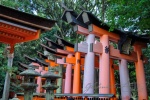 20151008-Kyoto-Nikon-101.jpg