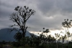 20160416-Costa-Rica-La-Fortuna-257.jpg