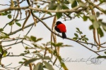 20160416-Costa-Rica-La-Fortuna-28.jpg