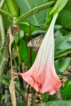 20160416-Costa-Rica-La-Fortuna-50.jpg