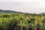 20160418-Costa-Rica-Monteverde-03.jpg