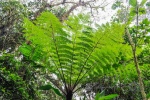 20160419-Costa-Rica-Monteverde-38.jpg