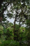 20160419-Costa-Rica-Monteverde-51.jpg