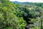 20160420-Costa-Rica-Monteverde-101.jpg