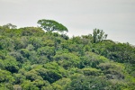 20160420-Costa-Rica-Monteverde-112.jpg