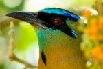20160420-Costa-Rica-Monteverde-123.jpg