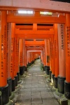 20151008-Kyoto-Nikon-142.jpg