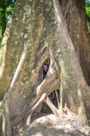 20160420-Costa-Rica-Monteverde-91.jpg