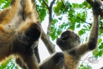 20160427-Costa-Rica-La-Cruz-21.jpg