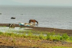 20160502-Nicaragua-Ometepe-12.jpg