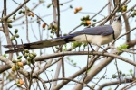 20160504-Nicaragua-Ometepe-54.jpg