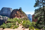 20150912-Zion-Nikon-03.jpg