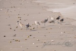20160511-Costa-Rica-La-Cruz-53.jpg