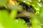 20160517-Costa-Rica-Manuel-Antonio-08.jpg