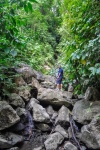 20160519-Costa-Rica-Corcovado-58.jpg