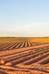 20160620-Kanada-Prince-Edward-Island-Chelton-14.jpg