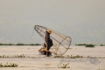 20161119-Myanmar-Inle-See-106.jpg