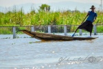 20161119-Myanmar-Inle-See-147.jpg