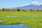 20161119-Myanmar-Inle-See-175.jpg
