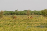 20181001-Chandelau_1-16.jpg