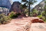 20150912-Zion-Nikon-091.jpg