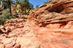 20150912-Zion-Nikon-131.jpg